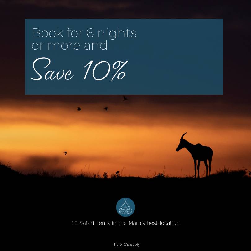 Get 10% off when book 6 or more nights at enkishui Safari camp